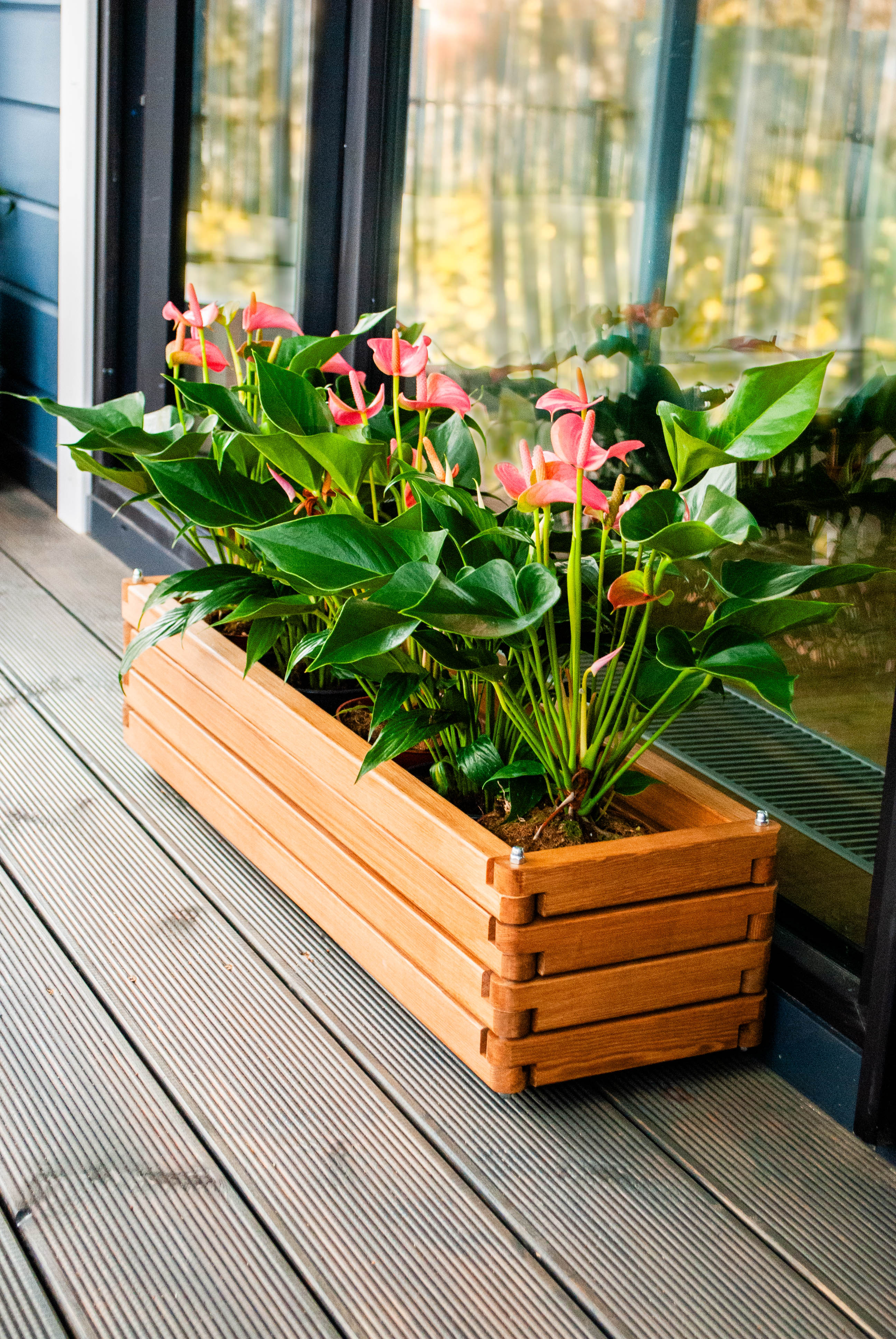 Деревянное кашпо Волома в интерьере — вариант gallery-02, карельская сосна