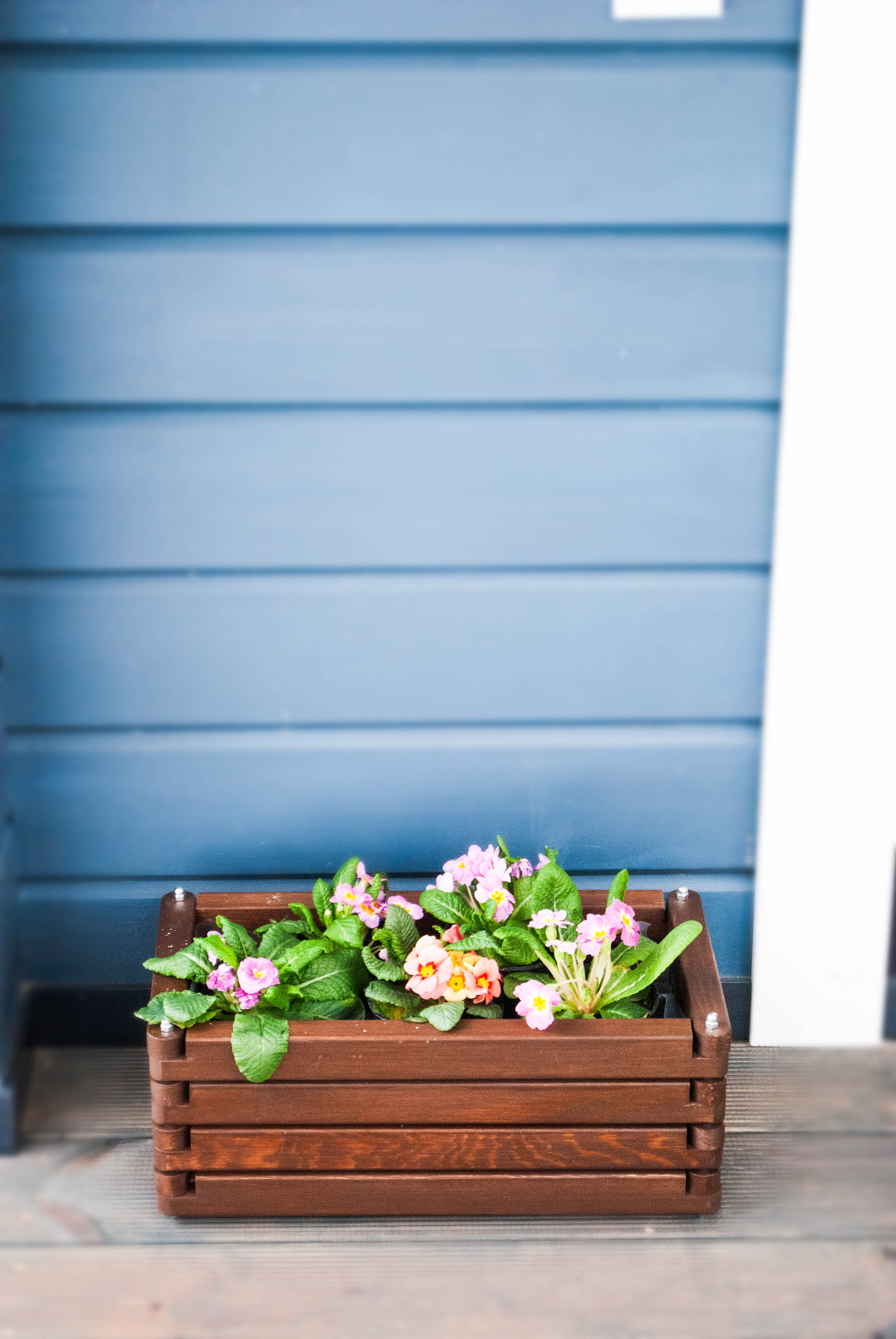 Деревянное кашпо Волома в интерьере — вариант gallery-08, карельская сосна